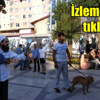 Sokak müzisyenlerine pitbull köpekleri ile saldırı Sokak müzisyenlerine pitbull köpekleri ile saldırı