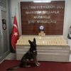 Aracın boşluklarına gizlenen 45 kilo eroini Rexo ... Aracın boşluklarına gizlenen 45 kilo eroini Rexo ...