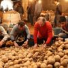 Patates üreticilerinden 'sıfır gümrük' tepkisi: Adrese teslim bir kararname olmuş Patates üreticilerinden 'sıfır gümrük' tepkisi: Adrese teslim bir kararname olmuş