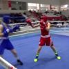 Türkiye Boks Şampiyonası sona erdi Türkiye Boks Şampiyonası sona erdi