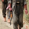 Şırnak'ta 7 PKK'lı teslim oldu Şırnak'ta 7 PKK'lı teslim oldu