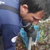 Ağaç kütüğüne sıkışan yavru köpek kurtarıldı Ağaç kütüğüne sıkışan yavru köpek kurtarıldı
