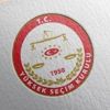 YSK'dan baro ve parti kongrelerine ilişkin karar