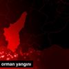 Adana da orman yangını Adana da orman yangını