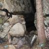 Giresun'da teröristlerle sıcak temas: 1 asker yaralandı