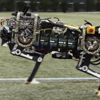 Güney Kore hayvan görünümünde askeri robotlar geliştiriyor