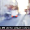 Malkara da 840 kök Hint keneviri yakılarak imha edildi