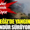 ﻿Köyceğiz’de yangın 12 gündür sürüyor