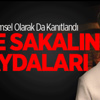 İşte Sakalın Bilimsel Faydaları İşte Sakalın Bilimsel Faydaları