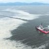 Marmara'da iki günde 392 metreküp müsilaj toplandı Marmara'da iki günde 392 metreküp müsilaj toplandı