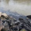 Sakarya Nehri karalar bağladı Sakarya Nehri karalar bağladı