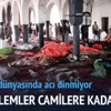 Yemen'de kanlı cuma Yemen'de kanlı cuma