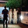 Otobüste korona paniği: Yolcu ihbar etti, ekipler harekete geçti