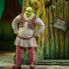 Shrek 2 hafta boyunca İstanbul'da