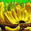 Toptan muz tacirlerine rekabet soruşturması Toptan muz tacirlerine rekabet soruşturması