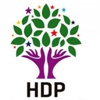 HDP Beyoğlu İlçe Başkanı gözaltında HDP Beyoğlu İlçe Başkanı gözaltında