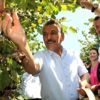 Samsun da 137 bin ton fındık rekoltesi bekleniyor Samsun da 137 bin ton fındık rekoltesi bekleniyor