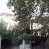 Komşu'daki yangını Türkler söndürdü
