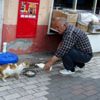 Veteriner Hekim, işyerinin önünde sokak hayvanlarını ... Veteriner Hekim, işyerinin önünde sokak hayvanlarını ...