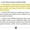 Semih Yalçın, MHP’nin tüzüğünü yalanladı Semih Yalçın, MHP’nin tüzüğünü yalanladı