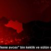 Tokat ta "kene avcısı" bin keklik ve sülün doğaya ... Tokat ta "kene avcısı" bin keklik ve sülün doğaya ...