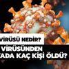 Sars virüsü nedir, bulaşıcı mı? Sars virüsünden kaç kişi öldü? Sars virüsü nedir, bulaşıcı mı? Sars virüsünden kaç kişi öldü?