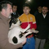 Keyif için vurdular ! Keyif için vurdular !