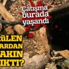 14 PKK'lının öldürüldüğü operasyonun detayları 14 PKK'lının öldürüldüğü operasyonun detayları