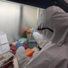 Finlandiya'da "görünmez mutasyon" keşfedildi Finlandiya'da "görünmez mutasyon" keşfedildi