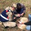 Jandarmadan yaralı çoban köpeğine şefkat eli Jandarmadan yaralı çoban köpeğine şefkat eli