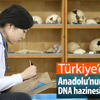 Anadolu'nun 15 bin yıllık 'DNA' hazinesi bulunacak