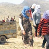 Yezidi kadınları köle gibi sattılar