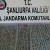 Şanlıurfa'da 130 sikke ele geçirildi Şanlıurfa'da 130 sikke ele geçirildi