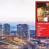 Alışverişte Çinli turist sürprizi