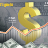 Doların tarihi rekor kırması faiz indirimini etkilemez Doların tarihi rekor kırması faiz indirimini etkilemez