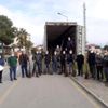 Samsun da kapama ceviz bahçeleri artıyor Samsun da kapama ceviz bahçeleri artıyor