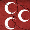 Türkeş'in memleketinde 7 istifa daha