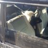 Çaldıkları büyükbaş hayvanları otomobille kaçırırken yakalandılar Çaldıkları büyükbaş hayvanları otomobille kaçırırken yakalandılar