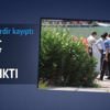 Korkunç gerçek otopside ortaya çıktı Korkunç gerçek otopside ortaya çıktı