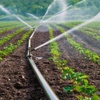 Tarım Sektöründe Şoke Eden Su İsrafı Tarım Sektöründe Şoke Eden Su İsrafı