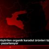 Bitlis te yetiştirilen organik karadut ürünleri tüm ...