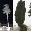 İtfaiyeden nefes kesen ‘yastık operasyonu’ İtfaiyeden nefes kesen ‘yastık operasyonu’
