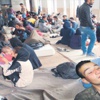 Mehmetçiğe öpücük Mehmetçiğe öpücük