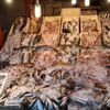 Balıkçılar çiftlik balıklarının fiyatlarının artmasına ...