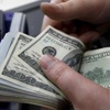 Dolar 7 haftanın zirvesini gördü Dolar 7 haftanın zirvesini gördü