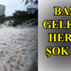 Bir Başka Bahar İcin Elveda... Bir Başka Bahar İcin Elveda...