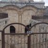 Kudüs ulemasından İsrail'e 'Rahmet Kapısı' tepkisi: Harem-i Şerif'in bir zerresi dahi tavize açık değildir