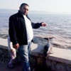 İzmit Körfezi’nde yunus ölüleri endişelendirdi İzmit Körfezi’nde yunus ölüleri endişelendirdi