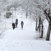 Meteoroloji'den son dakika hava durumu açıklaması! İstanbul ve o illere kar ve sağanak uyarısı | 24 Aralık 2019 hava durumu