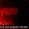 Aydın da evde çıkan yangında 1 kişi öldü Aydın da evde çıkan yangında 1 kişi öldü